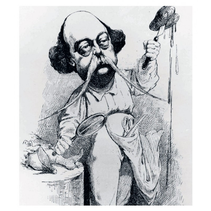 Gustave Flaubert (version numérique)