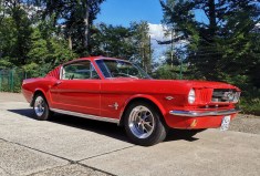 1966 Ford Mustang Fastback 289 4-Speed