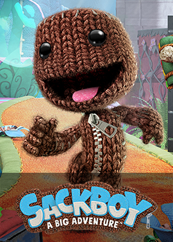 XXX_Sackboy_XXX