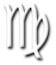 Virgo Symbol Glyph