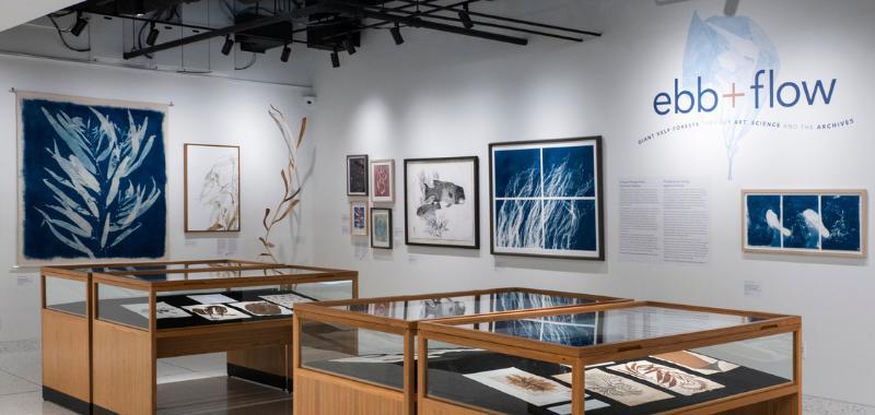Ebb and Flow: Giant Kelp Forests through Art, Science and the Archives