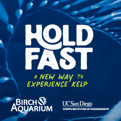 New exhibition at Birch Aquarium: Hold Fast