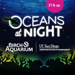 Oceans at Night at Birch Aquarium