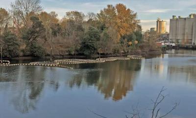 Kellog Island in the Duwamish River