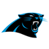 Panthers logo