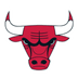 Bulls logo