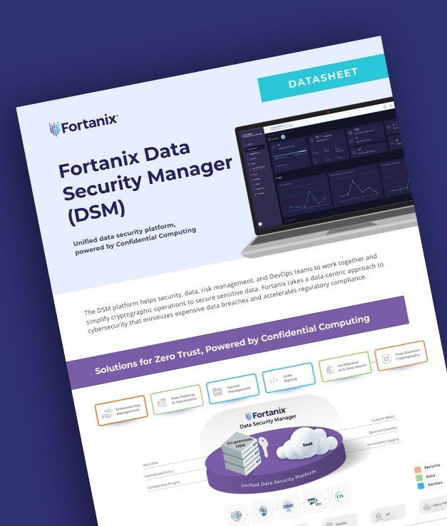 Dsm Datashet