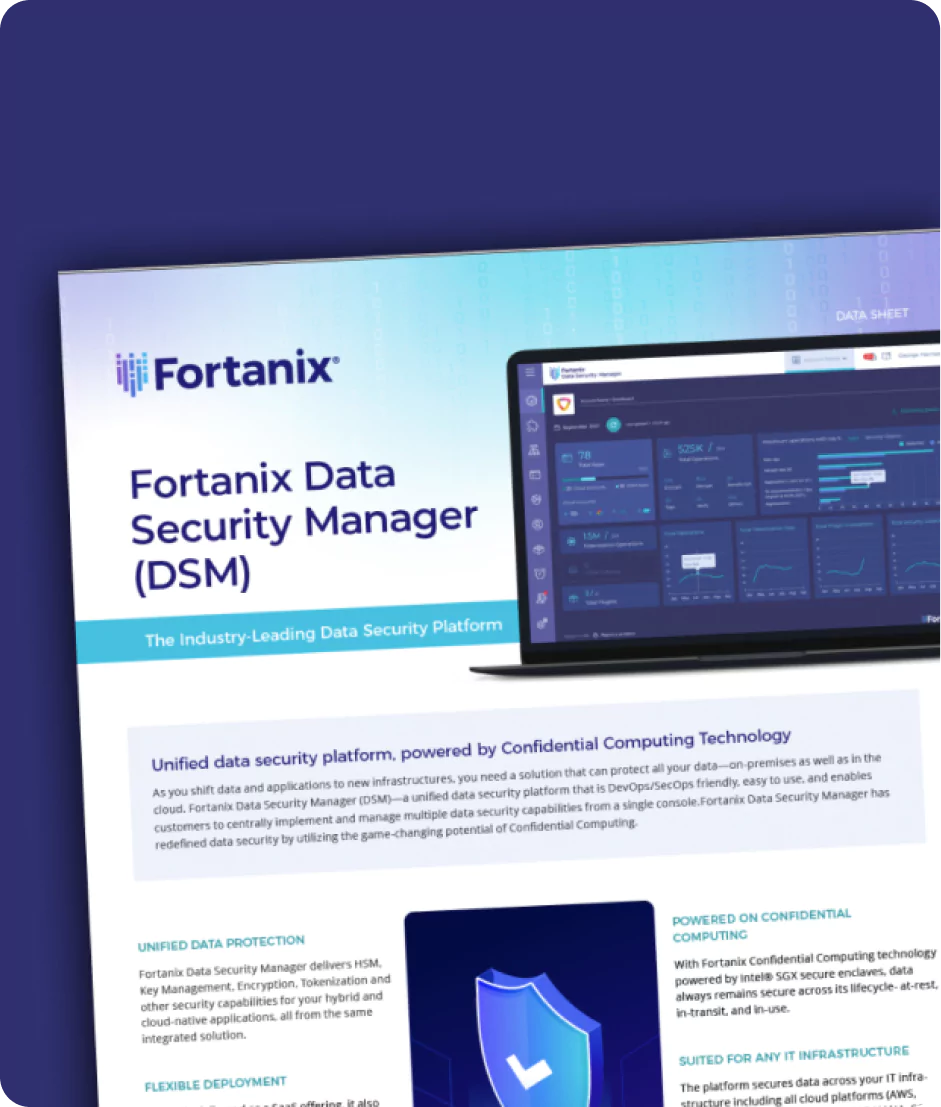 dsm datasheet