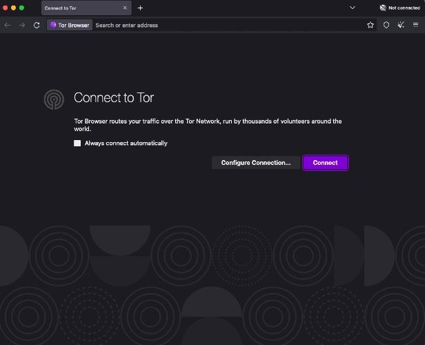 A screenshot of the Connect to Tor landing page