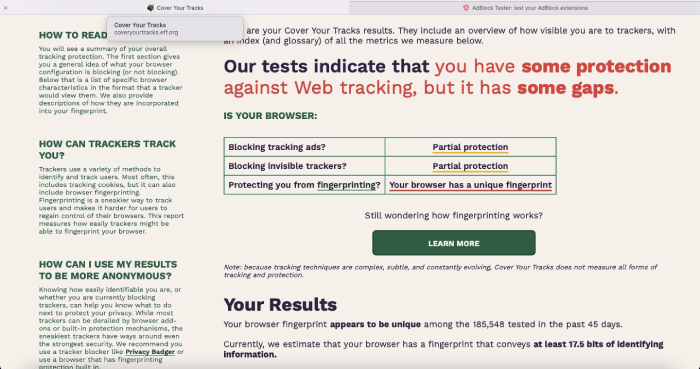 Cover Your Tracks test results for Wipr.