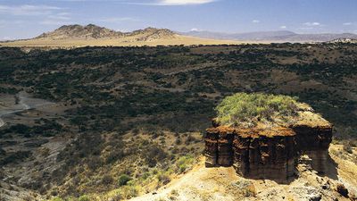 Olduvai Gorge or Olduwai Gorge, Tanzania, Africa (eastern Serengeti Plain) Where fossil remains of more than 60 hominins provides the most continuous known record of human evolution. Mary Leakey and Louis Leakey made discoveries here. Archaeology