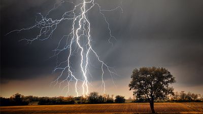 Lightning over a farm field. Weather electricity thunderstorm light energy tree