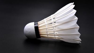 A closeup of a shuttlecock. badminton, sports, eqipment, game