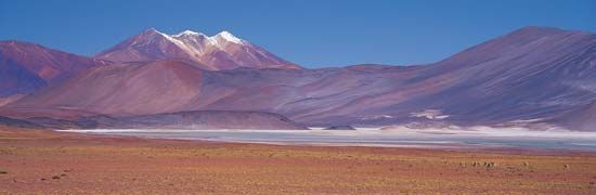 Atacama Desert