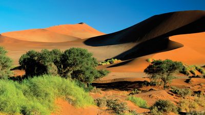 Namib desert