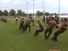 Tug-of-war at the U.S. Naval Academy, Annapolis, Md., 2005.