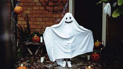 A child wearing a sheet for a Halloween ghost costume. Holiday Trick-or-treat