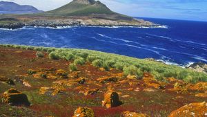 Falkland Islands