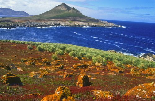 Falkland Islands