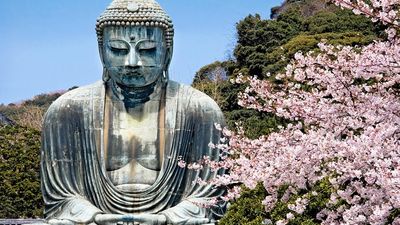 Buddha. Bronze Amida the Buddha of the Pure Land with cherry blossoms in Kamakura, Japan. Great Buddha, Giant Buddha, Kamakura Daibutsu