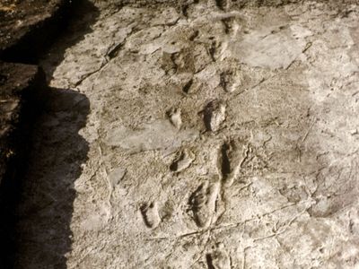 Laetoli footprints