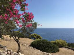 Writing retreat in Aegina, Greece. Photo: Georgina Berry / PRIO