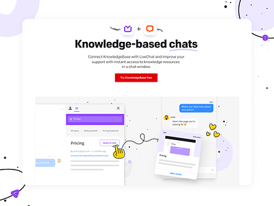 KnowledgeBase + LiveChat design landing page lp web web design website