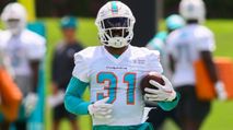 14 Fantasy Football Draft Values: ESPN Leagues (2024) https://cdn.fantasypros.com/wp-content/images/raheem_mostert_dolphins_6-1/213x119.jpg