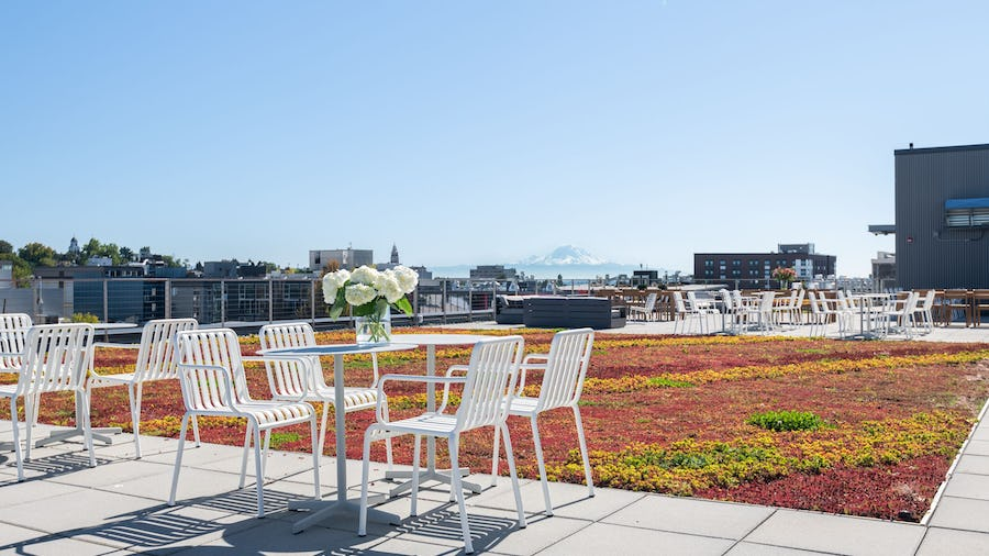 GeoComply - Seattle We Work Rooftop