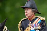 princess anne six word health update