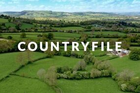 BBC One Countryfile Euro 2024 Wimbledon final