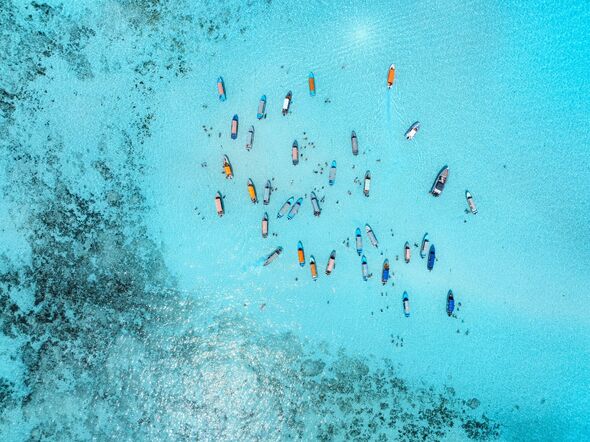 Aerial view of colorful boats in transparent water