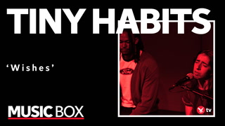 Boston trio Tiny Habits perform ‘Wishes’ for Music Box session