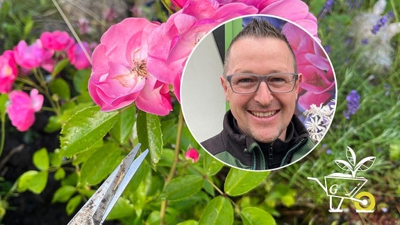 Komm mit in den Garten #89: Rosenpflege