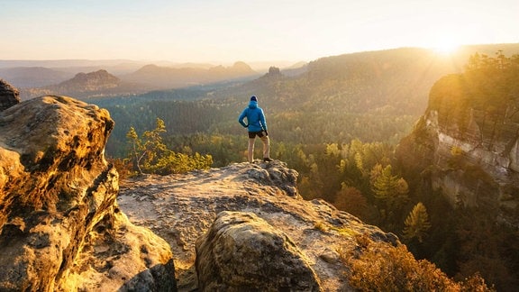 Ein Wanderer steht am Rand einer Felsschlucht in der Sächsischen Schweiz und blickt auf die Landschaft. 