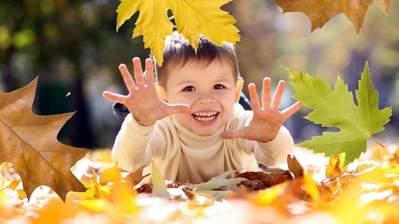 Fünfjähriges Kind liegt auf Herbstlaub