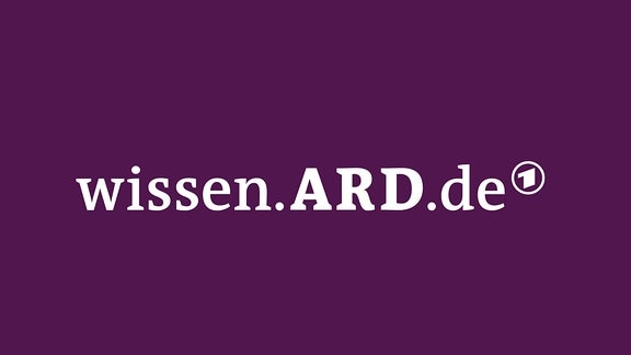 Logo Wissen.ARD.de