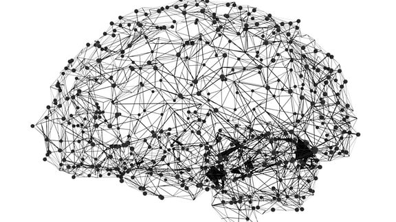 Konzept der menschlichen Intelligenz mit menschlichem Gehirn.