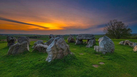 Steine auf einer Wiese im Sonnenuntergang.