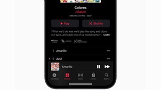 Apple Music track in Lossless viewed on iPhone