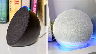 Dark grey Echo Pop and light grey Echo Dot sat on separate bookshelves