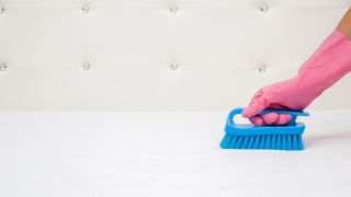 l A hand wearing a rubber glove uses a soft bristled brush to clean a mattress after spraying the yellow stains with shaving foam