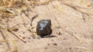 Fragment of asteroid 2018 LA recovered in Central Kalahari Game Reserve in central Botswana.