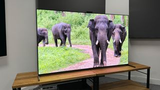 QD-OLED TV: Sony A95L