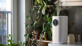 A humidifier sitting among green plants