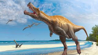 Irritator challengeri lets out a loud roar while walking along a Cretaceous shoreline.