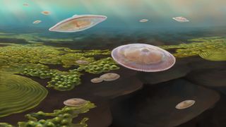 An artist’s impression of what Francevillian Basin "macrofossils" might have looked like if they were alive 2.1 billion years ago. 