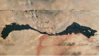 An astronaut photo of the Carrizozo Malpaís lava flow in New Mexico taken June 30.