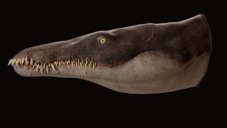 3D model of Lorrainosaurus against a black background