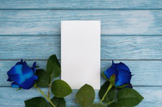 white invitation with blue roses